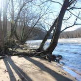 Review photo of Camp Driftwood Asheville by Ali S., November 2, 2018