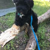 Review photo of Isle du Bois Campsites — Ray Roberts Lake State Park by Elizabeth N., April 30, 2019
