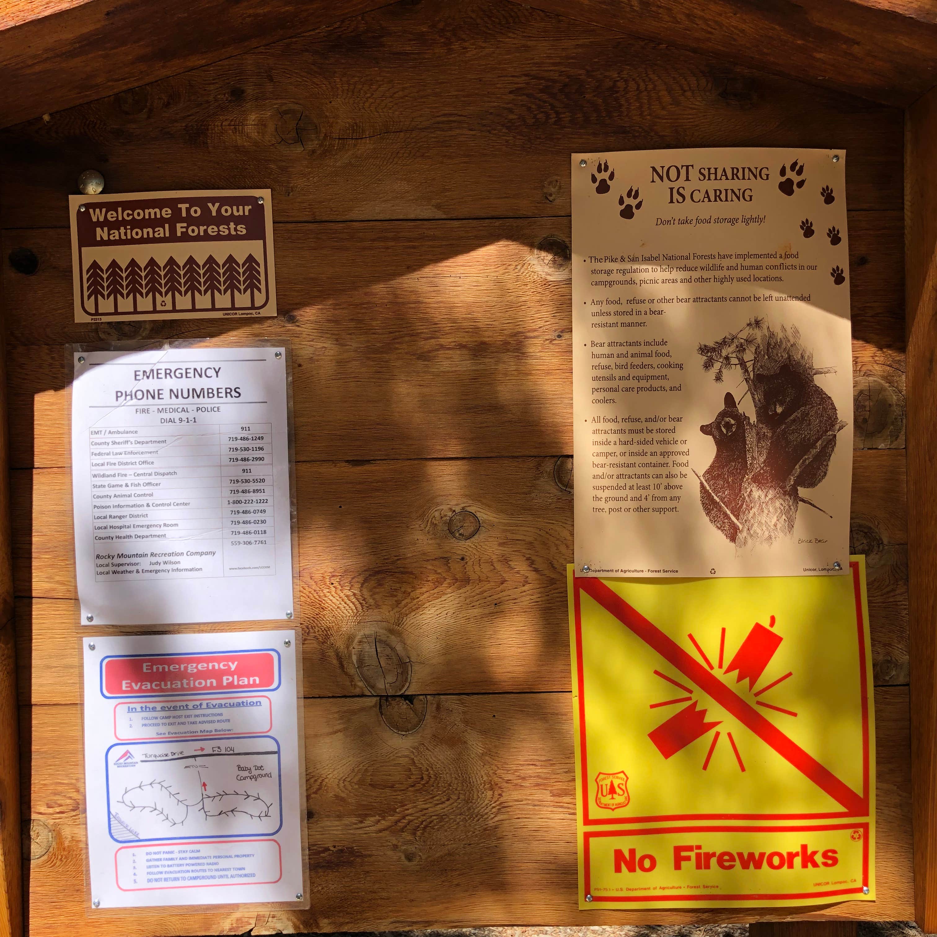 Camper submitted image from Baby Doe - 4