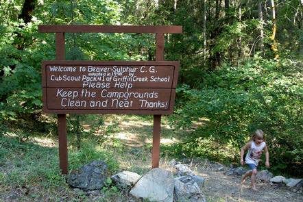 Camper submitted image from Beaver Sulphur - 4