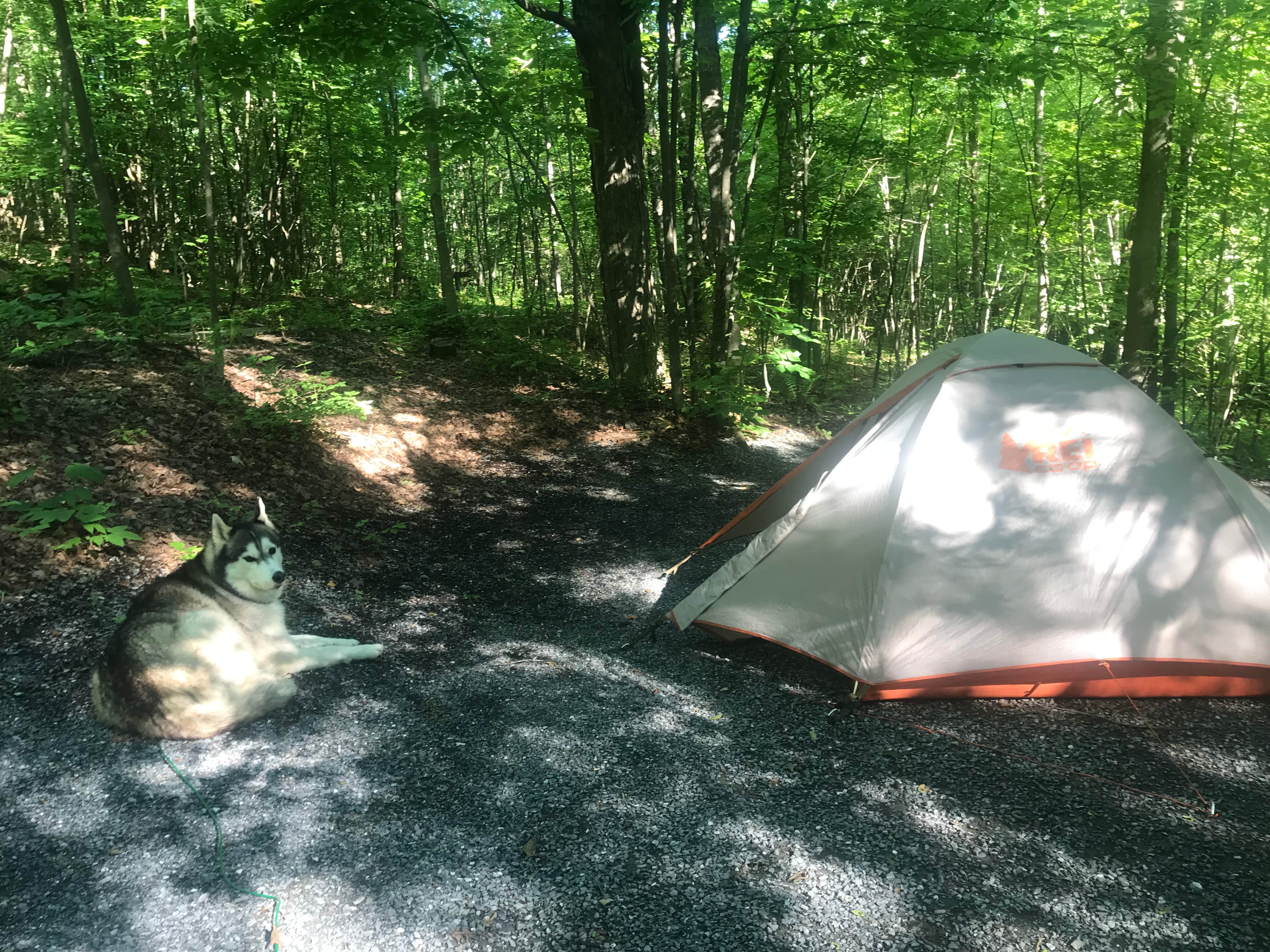 Camper submitted image from Mount Philo State Park Campground - 4