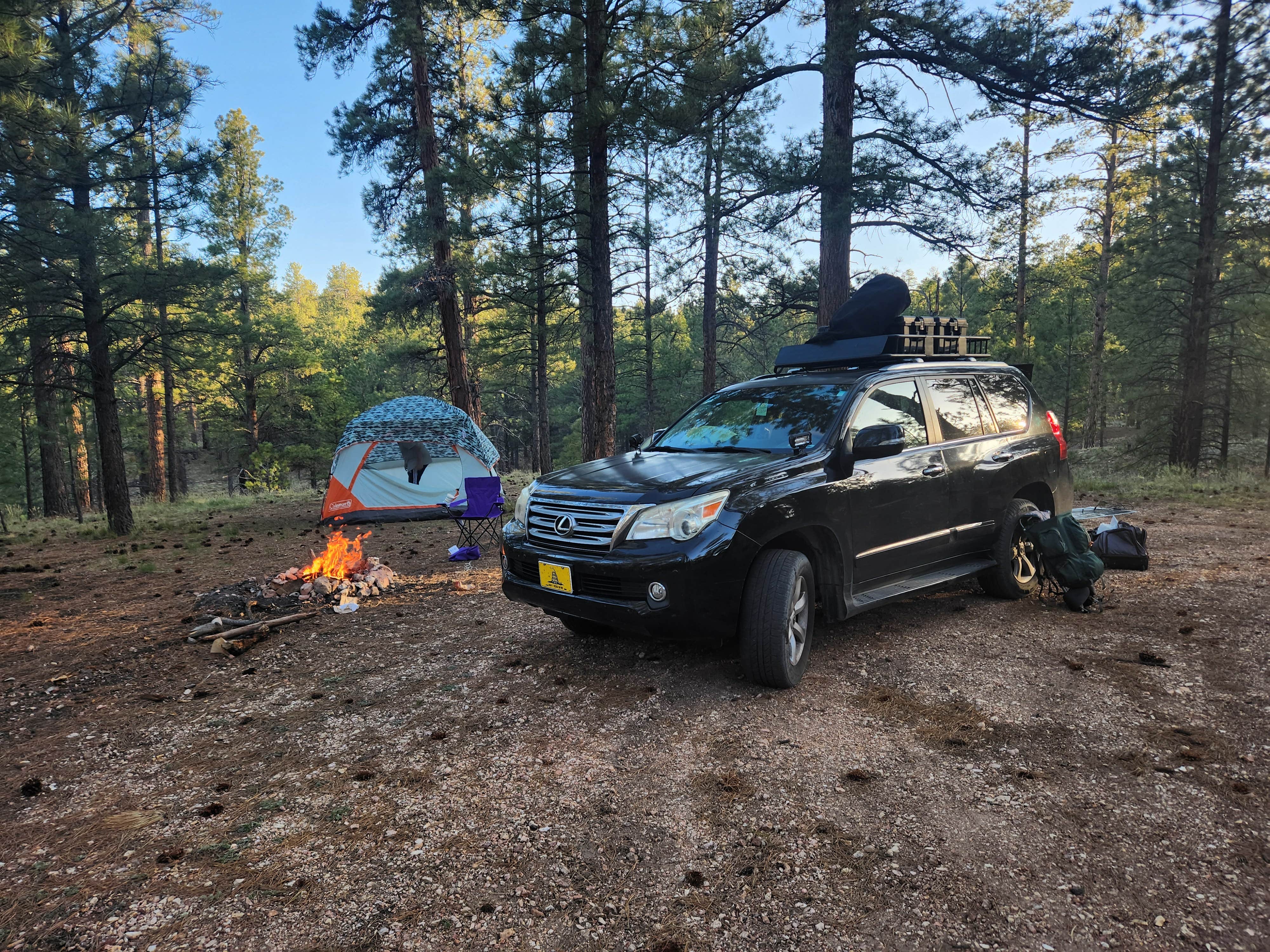 Camper submitted image from Jacob Lake 89A Dispersed - 4
