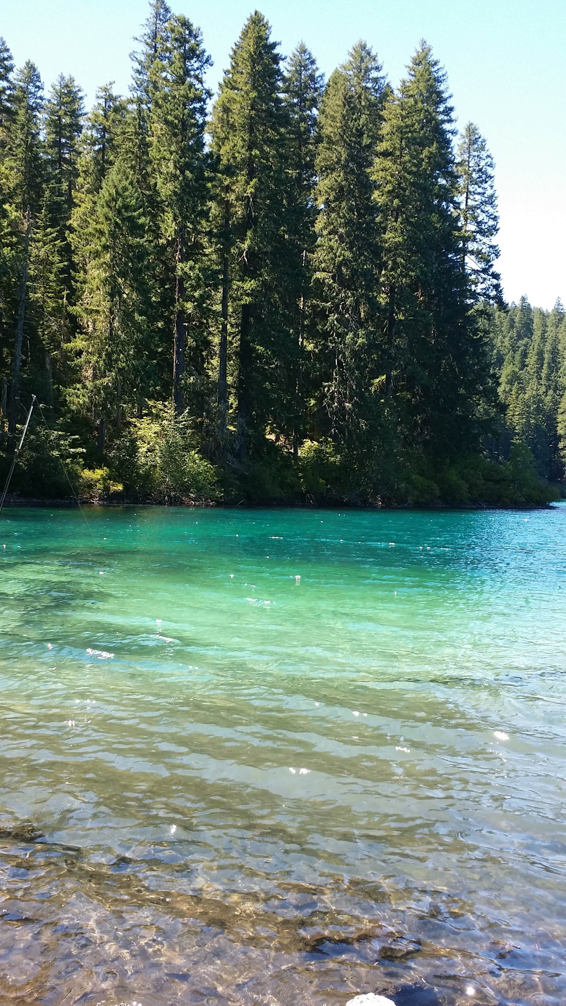 Camper submitted image from Coldwater Cove Campground - 5