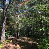 Review photo of Mount Blue State Park Campground by Rebecca A., September 21, 2019