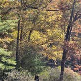 Review photo of Caledonia State Park Campground by Andres C., May 27, 2020