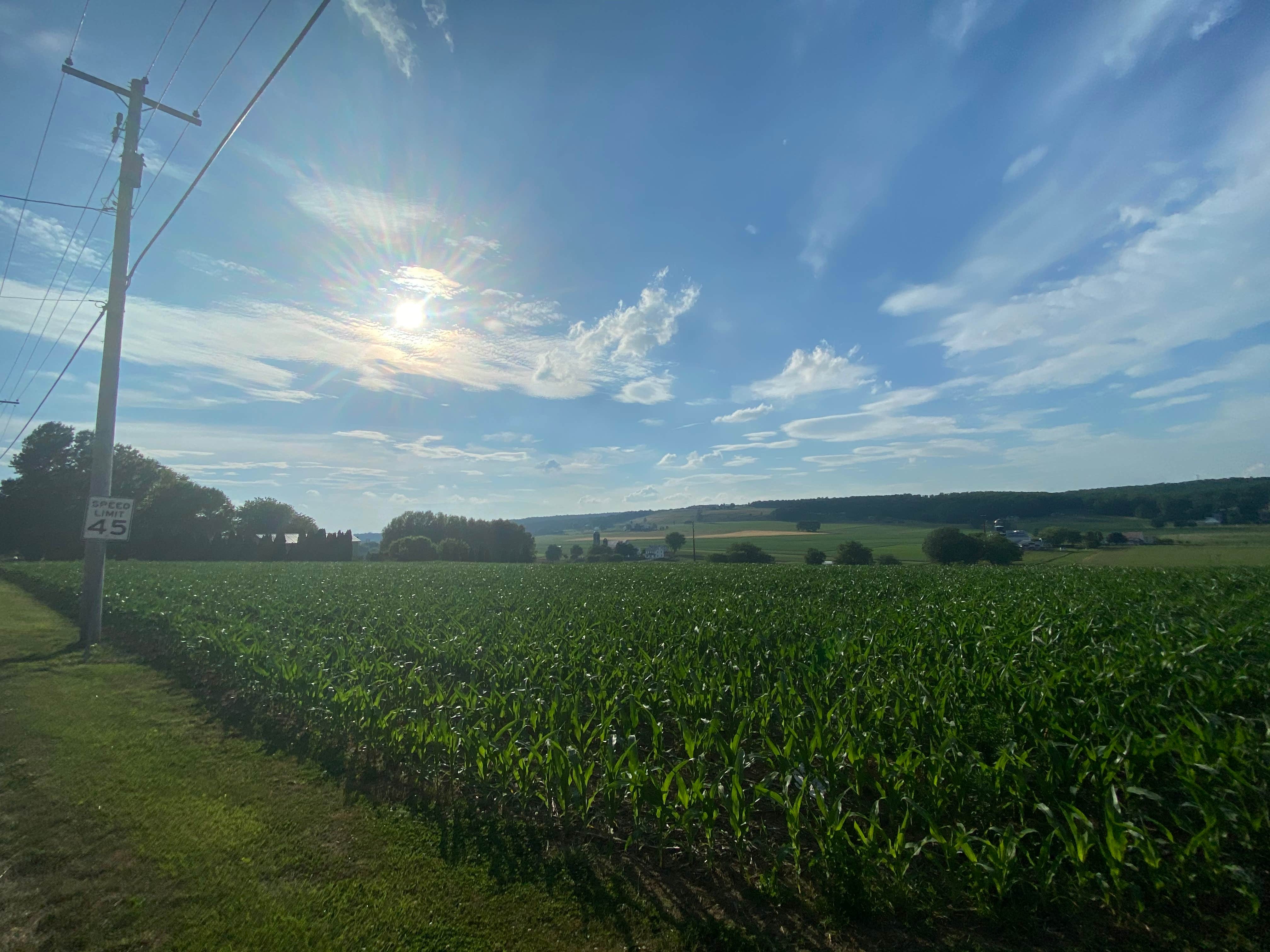 Camper submitted image from Beacon Hill Camping - 4