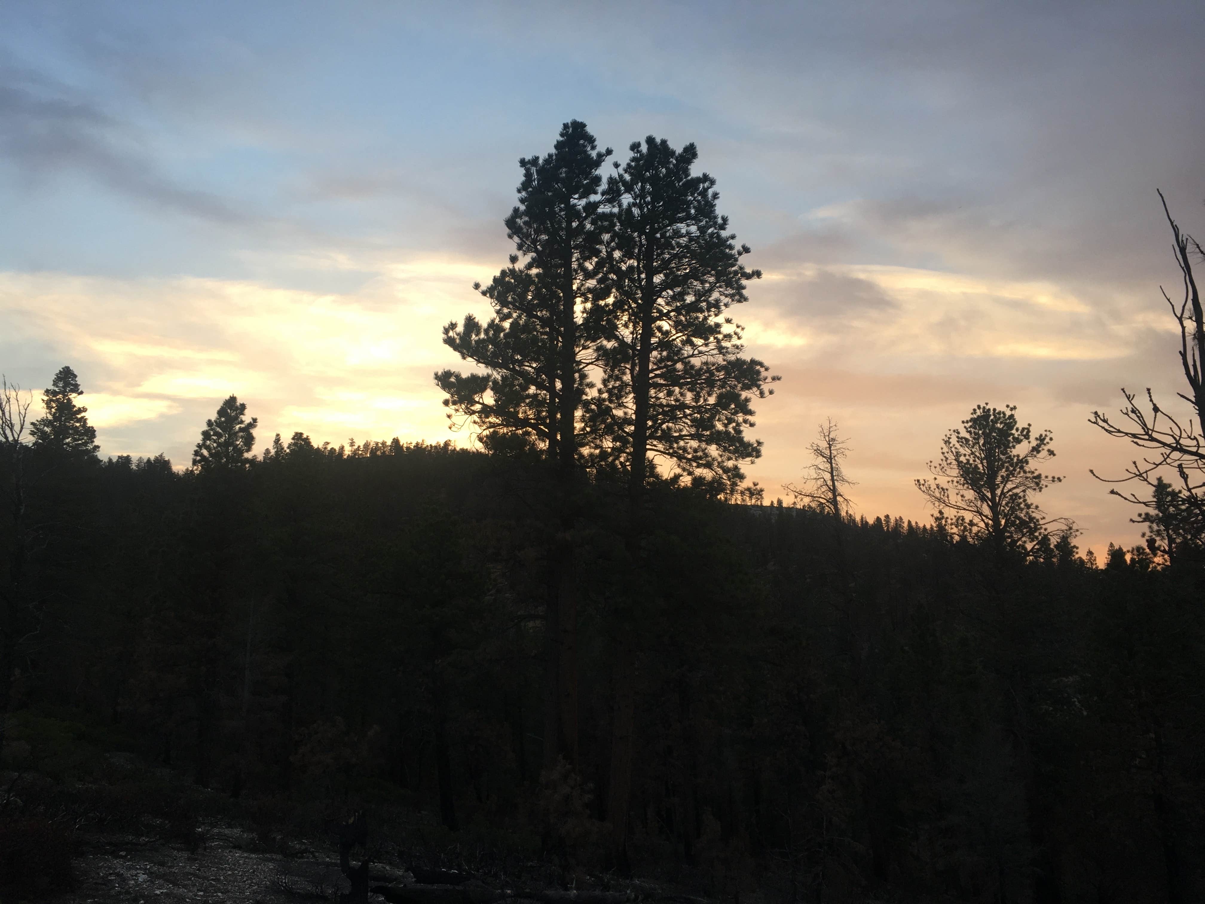 Camper submitted image from East Fork Sevier River Dispersed Campsites - 5