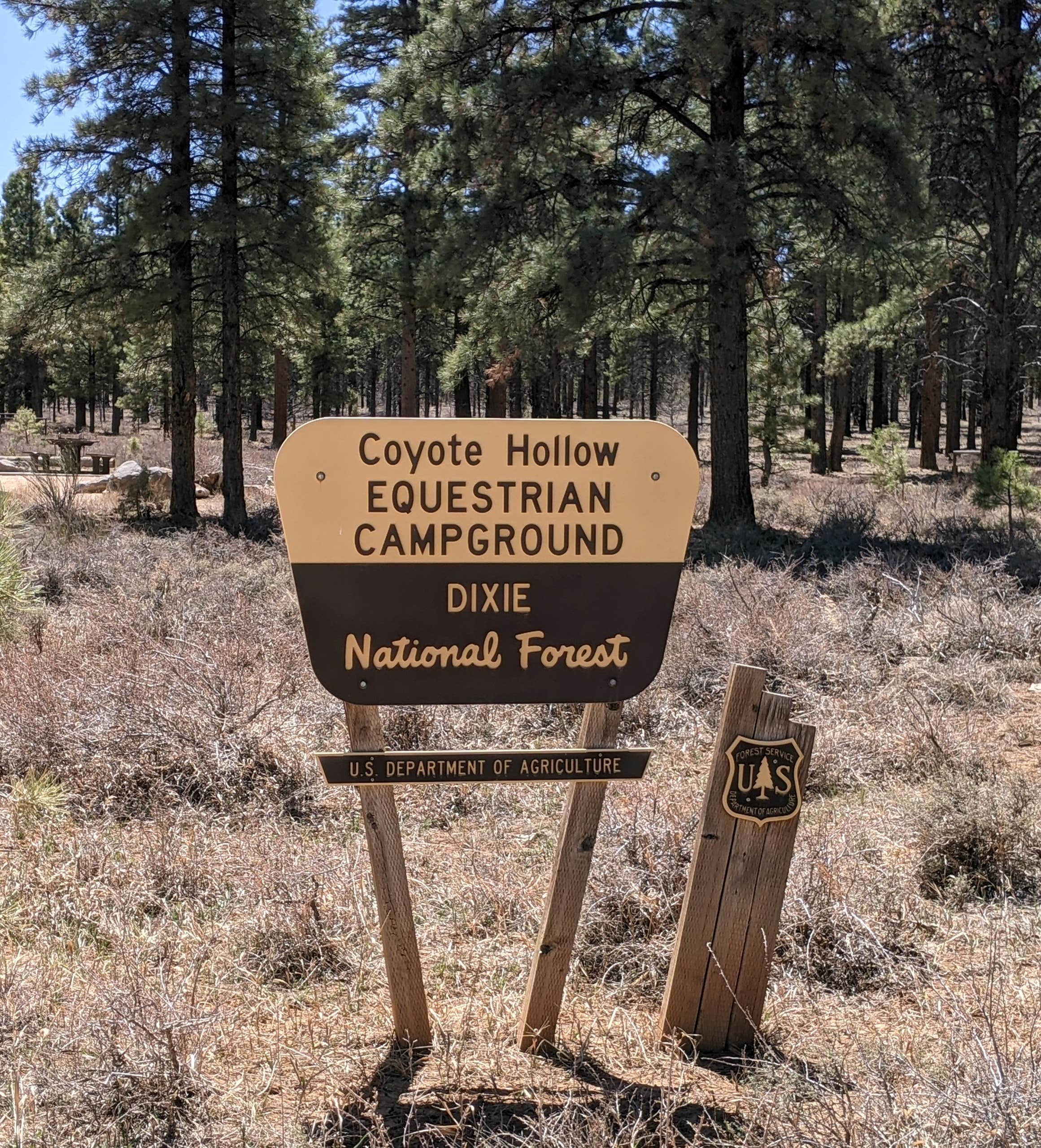 Camper submitted image from Coyote Hollow Equestrian Campground - 2