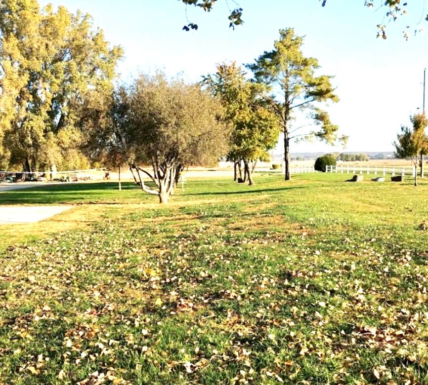 Camper submitted image from Kansas City West-Lawrence KOA - 5