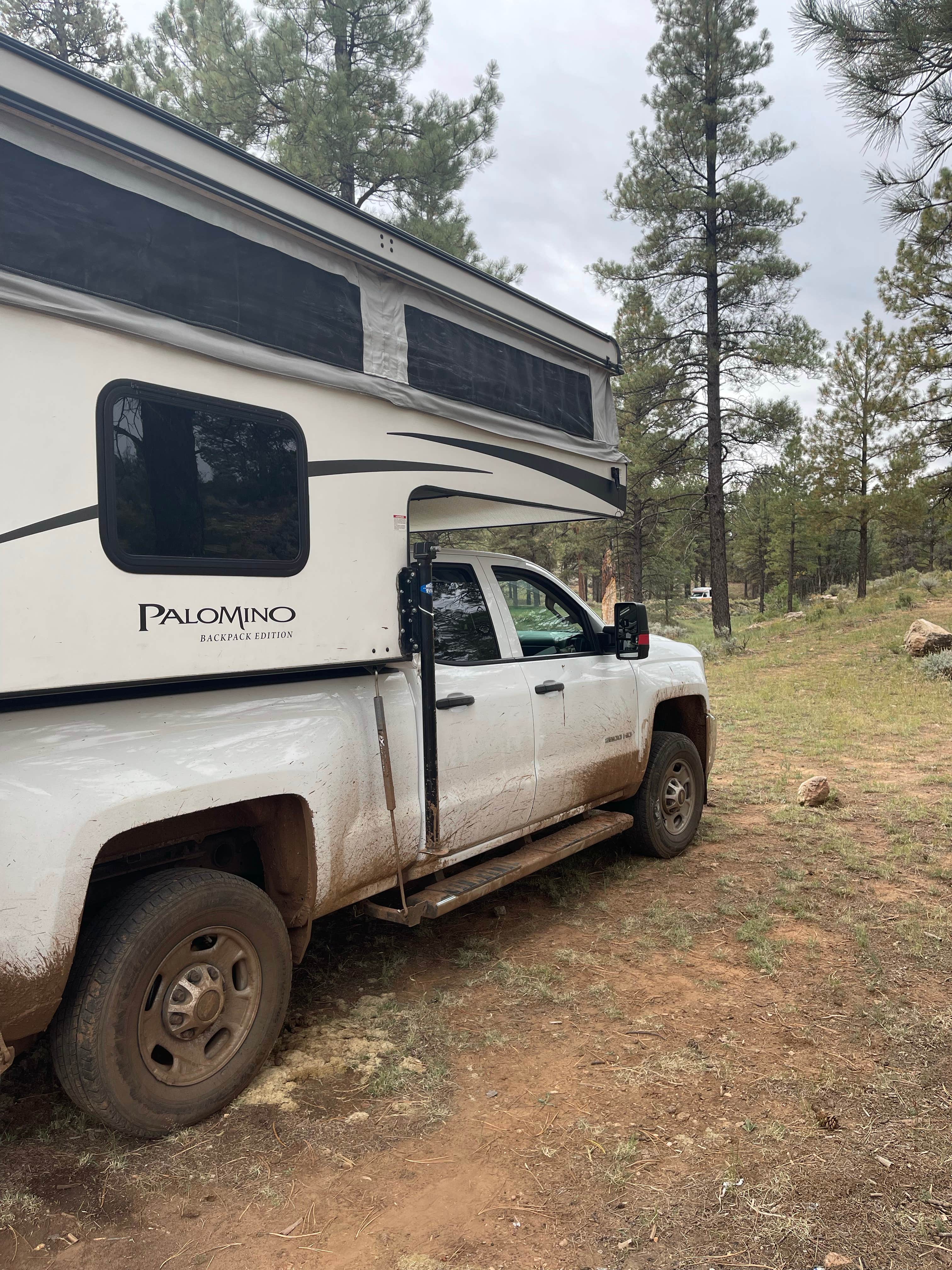 Camper submitted image from Long Jim Loop Campground - 3