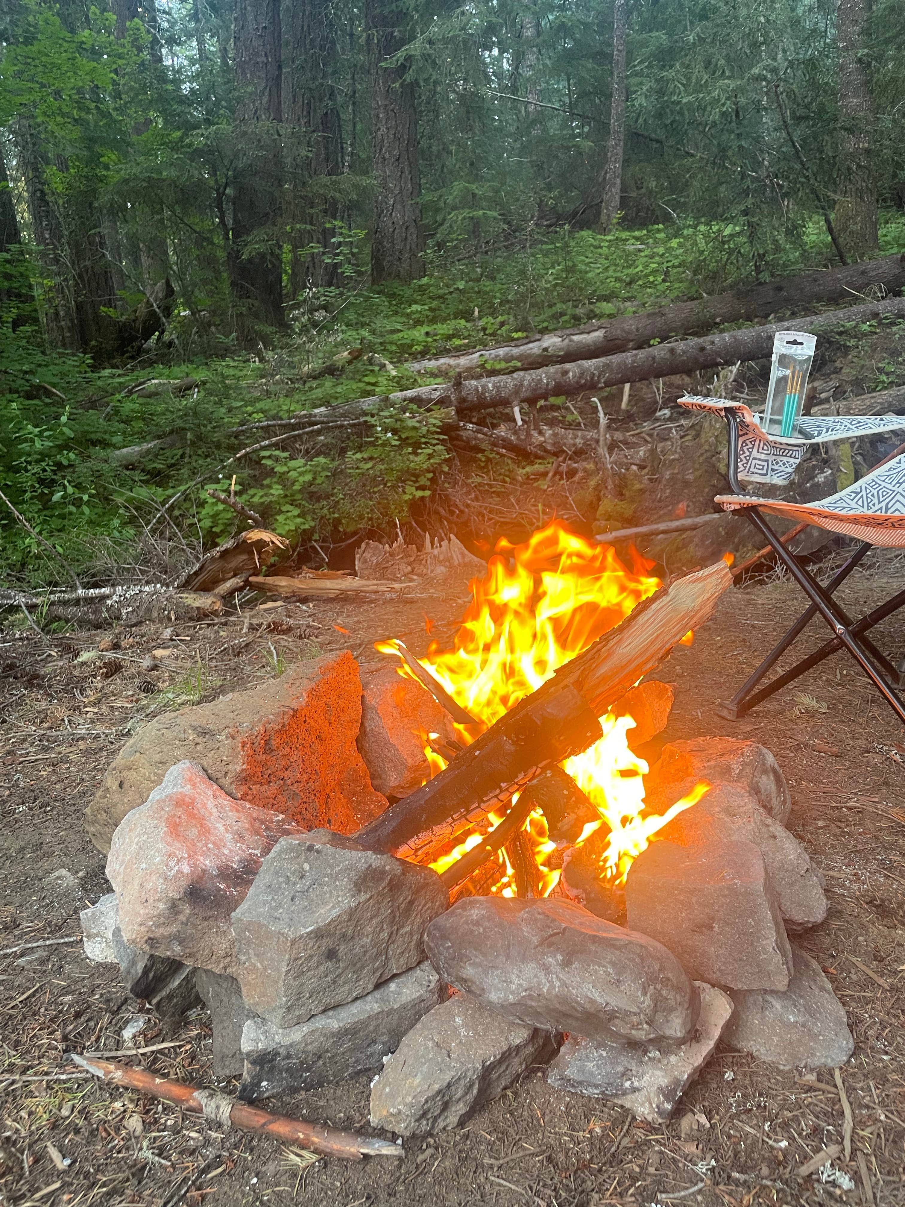 Camper submitted image from Briggs Dispersed Camp - 1