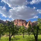 Review photo of Fruita Campground — Capitol Reef National Park by Hattie R., June 1, 2025