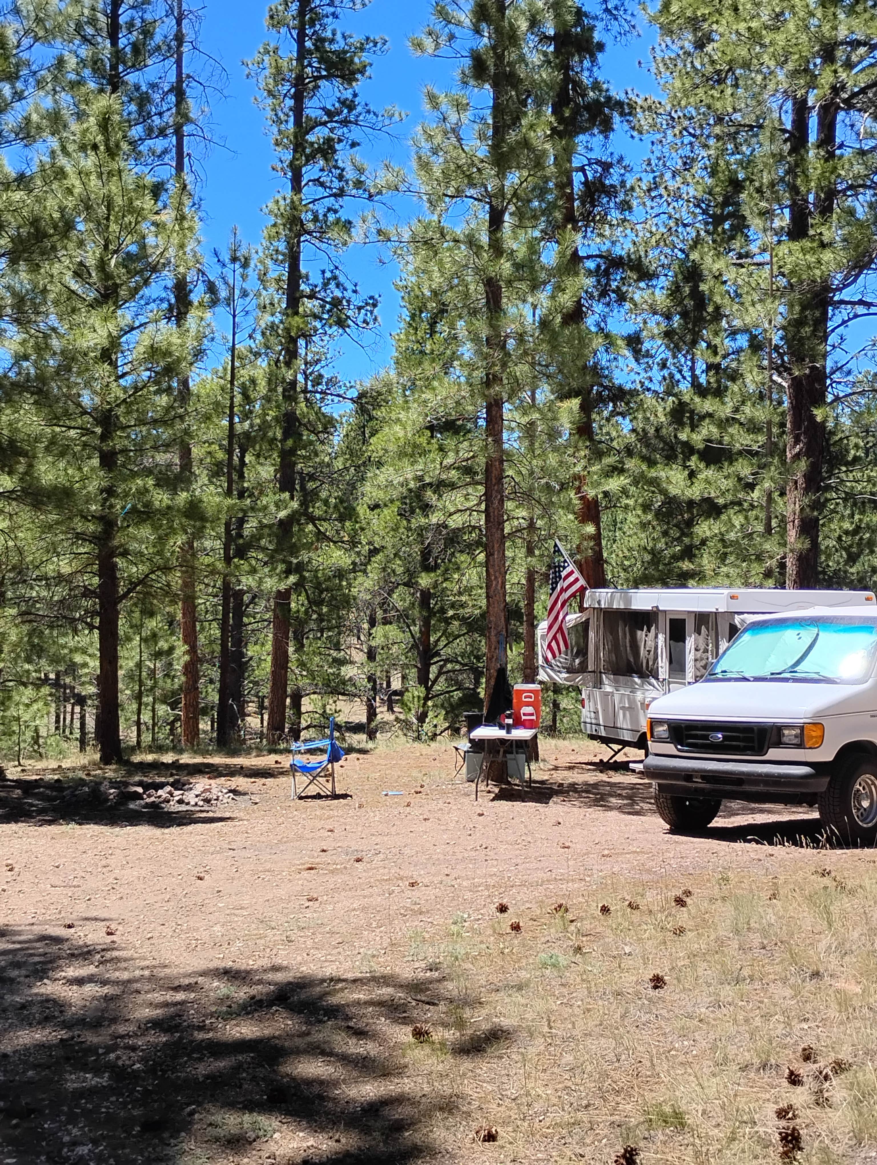 Camper submitted image from Jacob Lake 89A Dispersed - 3