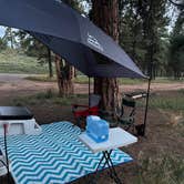 Review photo of Long Jim Loop Campground by denis , September 12, 2023