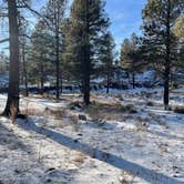 Review photo of Long Jim Loop Campground by Fabian S., January 10, 2024