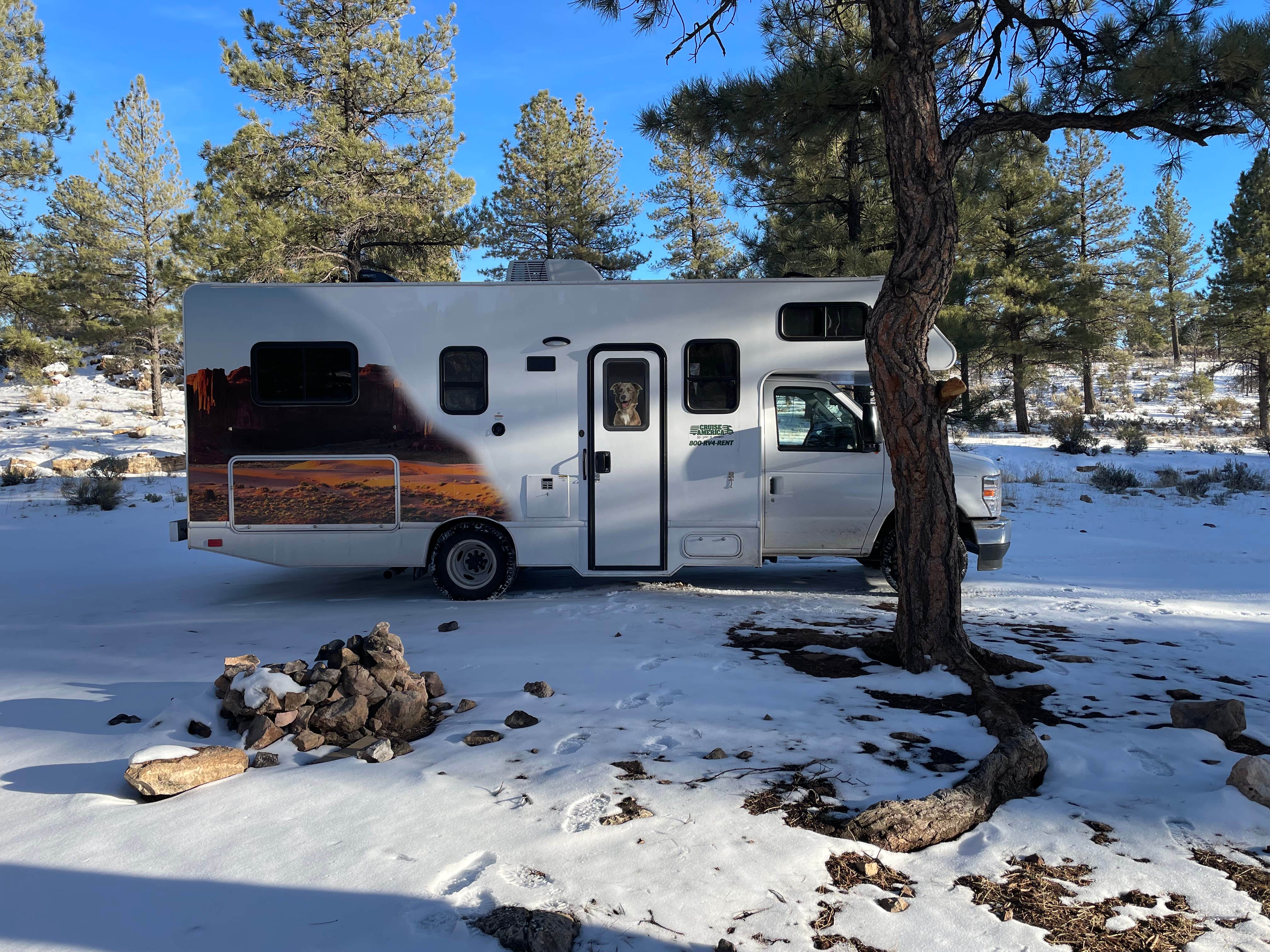 Camper submitted image from Long Jim Loop Campground - 4