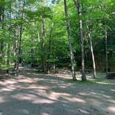 Review photo of Mohawk Trail State Forest Campground by Ryan A., June 12, 2024