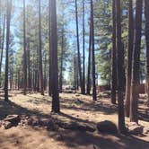 Review photo of Woody Mountain Campground & RV Park by Amilyn W., April 9, 2025